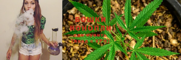 ПСИЛОЦИБИНОВЫЕ ГРИБЫ Остров